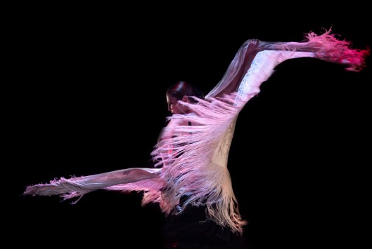 16Alma - Sara Baras © Sofia Wittert LOW